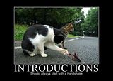 introductions.jpg image by synchan76